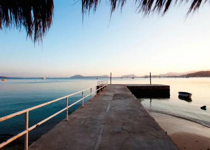 Near The Pine Walk *